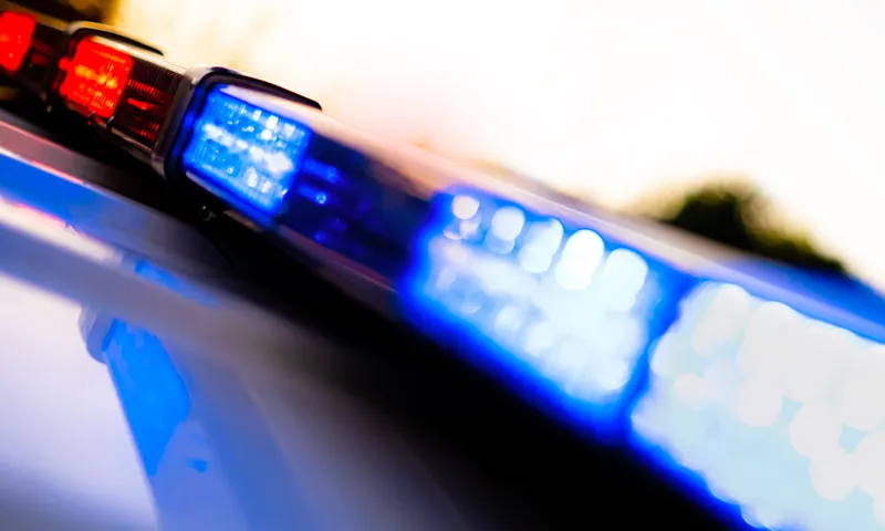 20-year-old woman fatally shot in Wayne County mobile home community; suspect detained