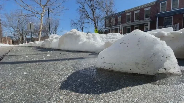 DC weather: Washington, DC faces freezing start before gradual warmup