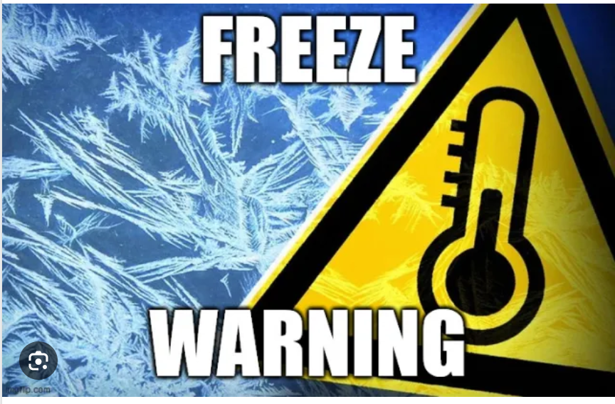 Arkansas Weather Alert: Arkansas Faces 50 mph Wind Gusts and 15°F Freeze Threat Monday
