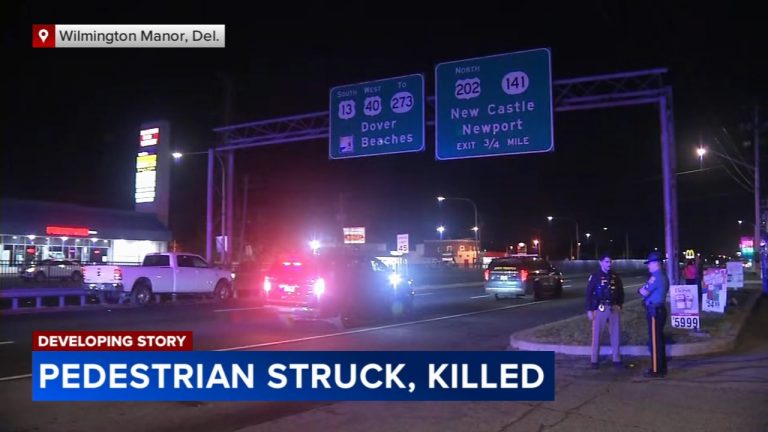 Pedestrian Killed in Route 13 Crash in New Castle County, Delaware