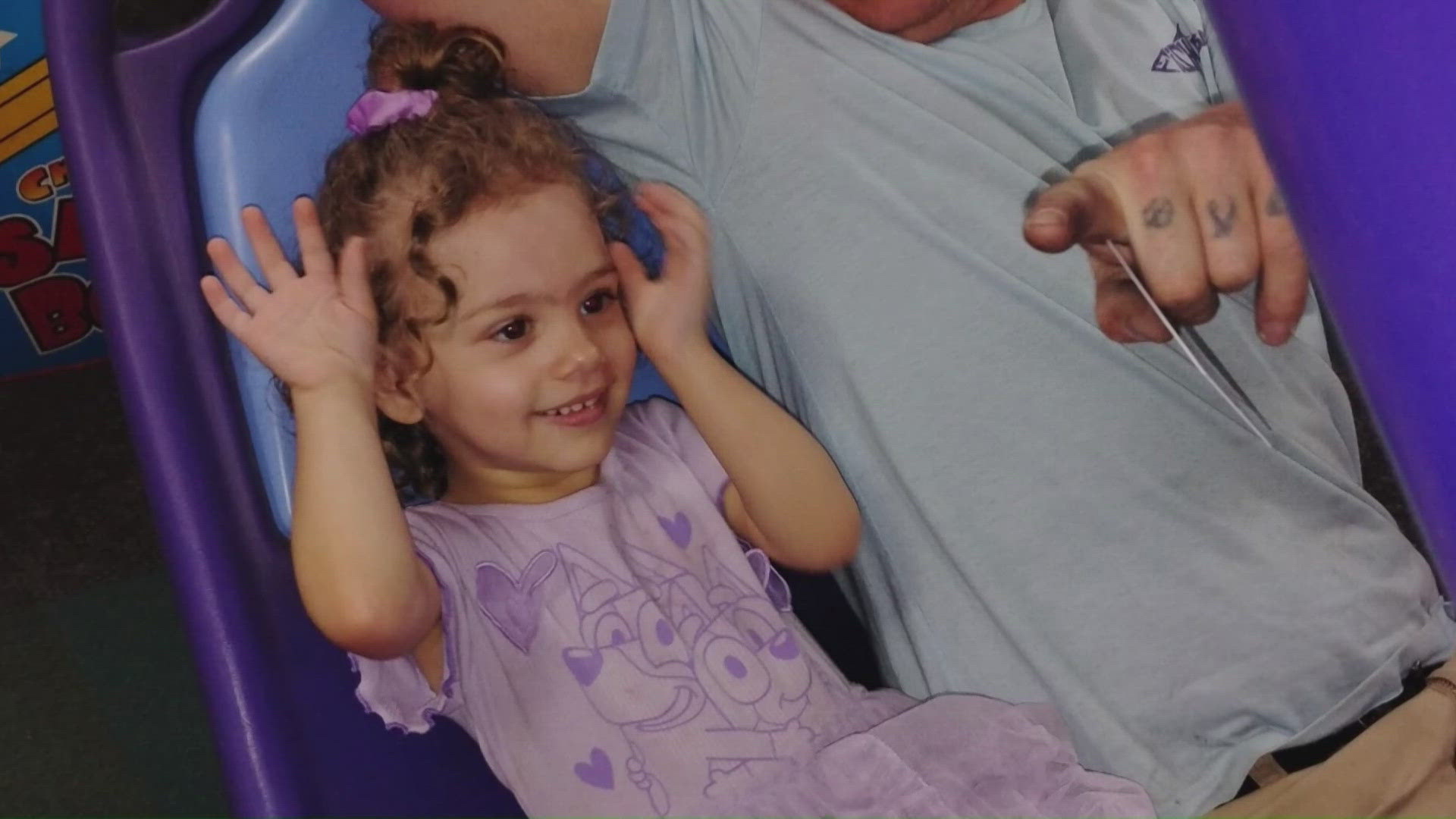 Pulaski County Toddler Killed in Dog Attack: Investigation Underway After Tragic Incident