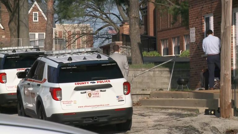 Fake Amber Alert in St. Louis County Costs Police $16,000, Sparks Outrage