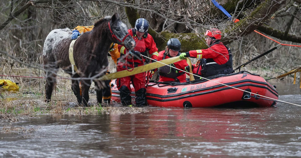 Crews rescue horse stranded in freezing floodwaters after creek surge