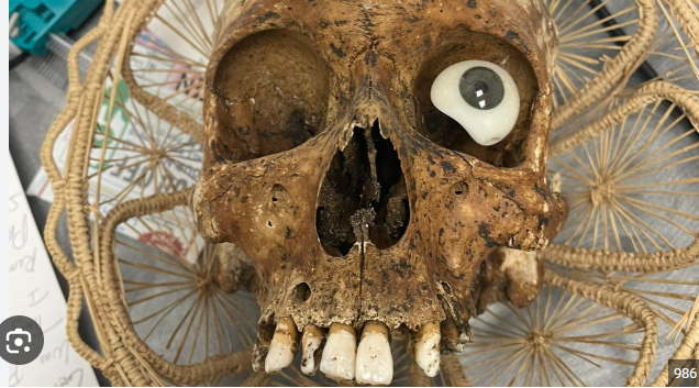 Human Skull Found in Brandywine Hundred Shows Signs of Long-Term Exposure, Police Say