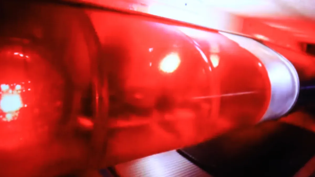 Woman killed in Interstate 55 crash identified by Will County Coroner