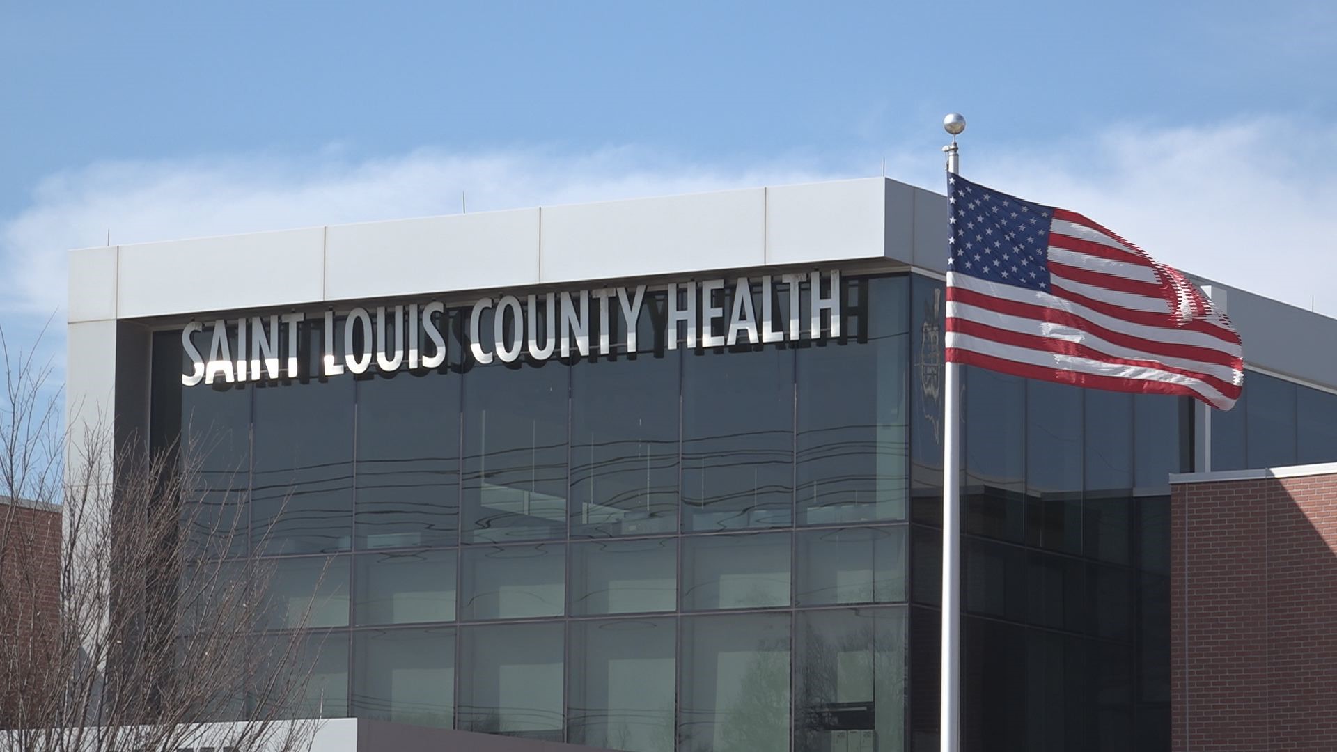 First Rabies-Positive Bat of 2026 Confirmed in St. Louis County, Health Officials Issue Warning