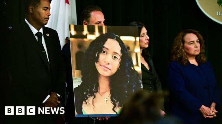 Teen Found in Singer D4vd’s Tesla Died from Multiple Injuries, Medical Examiner Confirms