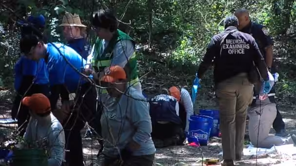 Human Remains of Three Children Discovered in Memphis, Investigation Ongoing