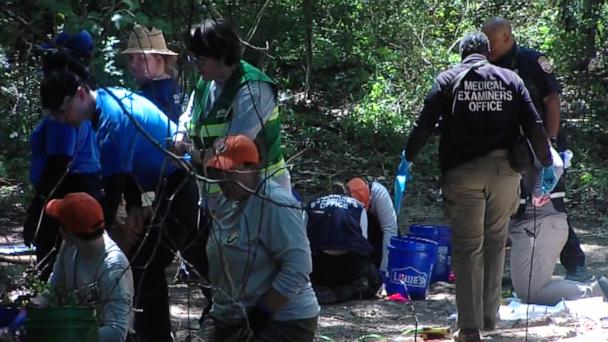 Human Remains of Three Children Discovered in Memphis, Investigation Ongoing