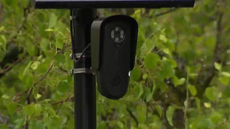 License plate readers now at Home Depot, Lowe's Home Improvement stores