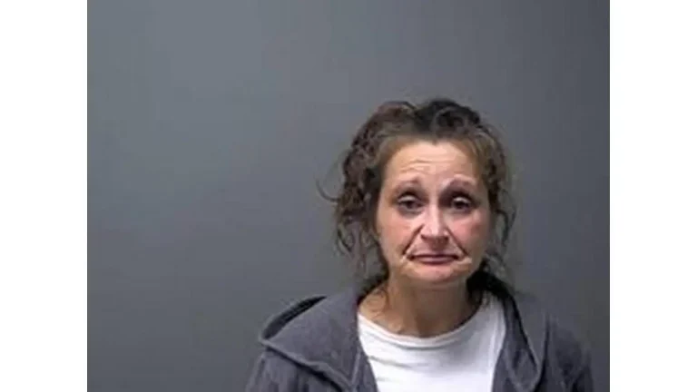 Mountain Home woman sentenced to 3 years probation in drug case plea