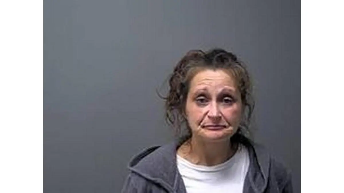 Mountain Home woman sentenced to 3 years probation in drug case plea