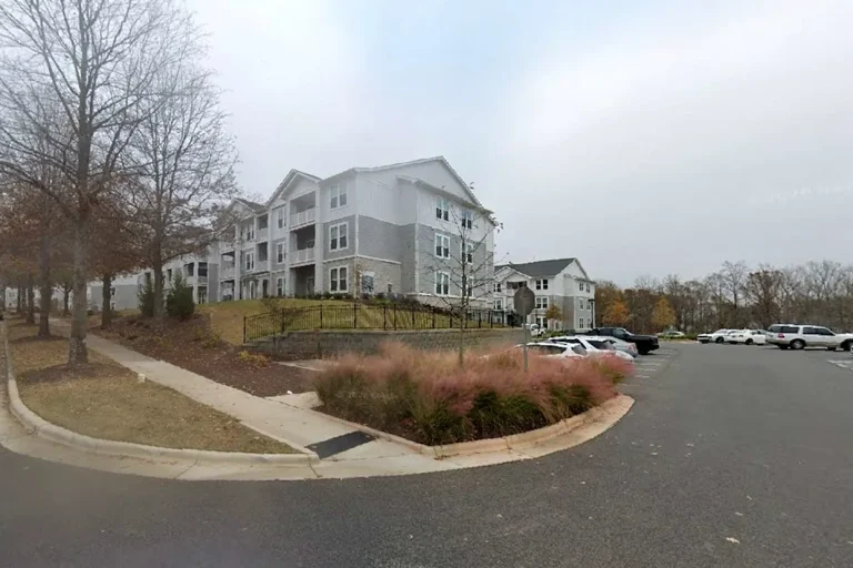 Woman, 63, Dies After Her Own Car, Left in Reverse, Strikes Her