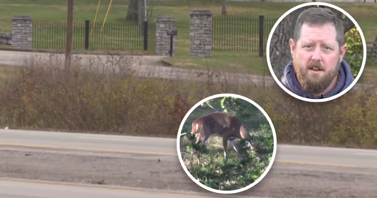 Kentucky motorists warned to watch for deer as breeding season nears