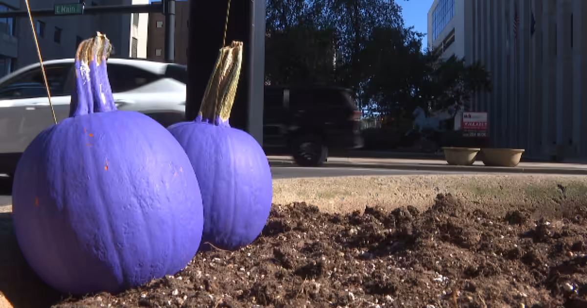 Purple Peace Pumpkins appear across Lexington for Domestic Violence Awareness Month